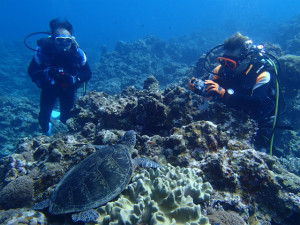 沖縄　ダイビング　慶良間　FUNダイビング