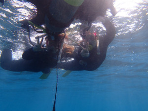 沖縄　イナンビシ　スノーケリング