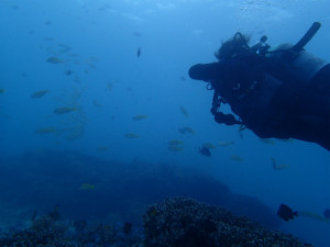 沖縄　ダイビング　真栄田ボート　体験ダイビング　FUNダイビング