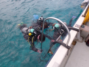 沖縄　ダイビング　真栄田岬　体験ダイビング