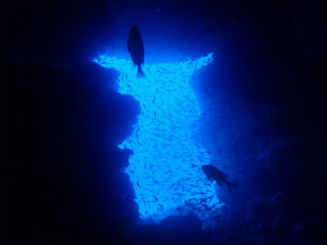 沖縄　ダイビング　万座　FUNダイビング