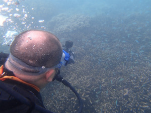 沖縄　ダイビング　那覇　体験ダイビング