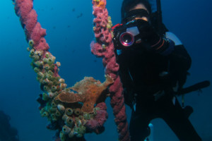 沖縄　ダイビング　万座