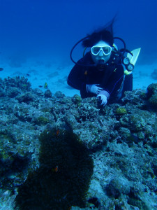 沖縄　ダイビング　慶良間　体験ダイビング　ＦＵＮダイビング