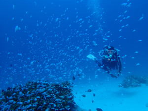 沖縄　ダイビング　慶良間　体験ダイビング　ＦＵＮダイビング