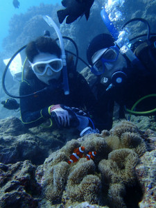 沖縄　ダイビング　砂辺　ＦＵＮダイビング