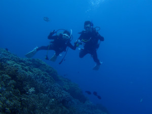 沖縄　ダイビング　砂辺　ＦＵＮダイビング