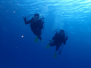 沖縄　ダイビング　慶良間　体験ダイビング
