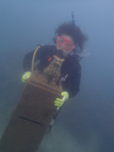 沖縄　ダイビング　那覇シーサイドパーク　ＦＵＮダイビング