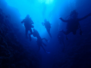 沖縄　ダイビング　万座　FUNダイビング