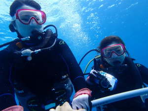 沖縄　ダイビング　慶良間　体験ダイビング