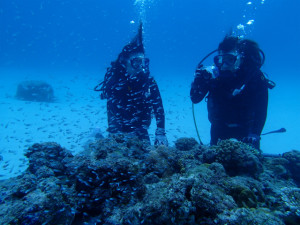 沖縄　ダイビング　慶良間　体験ダイビング