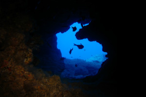 沖縄　ダイビング　うさぎ穴
