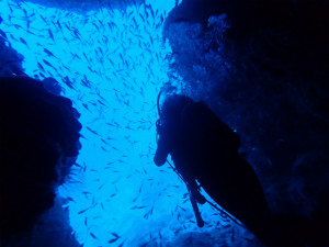 沖縄　ダイビング　万座　FUNダイビング