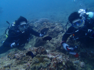 沖縄　ダイビング　体験ダイビング　砂辺