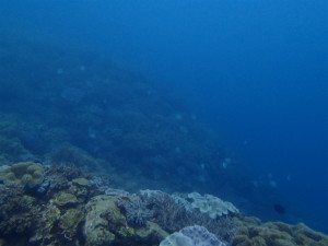 沖縄　ダイビング　体験ダイビング　砂辺