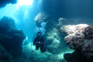 沖縄 ダイビング 慶良間 FUNダイビング 体験ダイビング