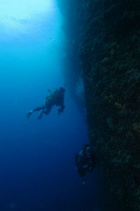 沖縄 ダイビング 慶良間 FUNダイビング 体験ダイビング