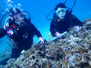沖縄　ダイビング　慶良間　体験ダイビング　ウミガメと泳ごう