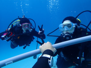 沖縄　ダイビング　慶良間　体験ダイビング　ウミガメと泳ごう