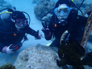 沖縄　ダイビング　慶良間　体験ダイビング　ウミガメと泳ごう