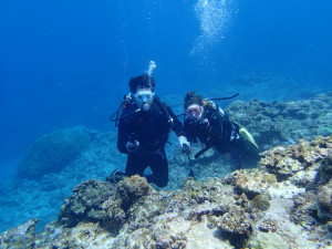 沖縄 ダイビング 慶良間 FUNダイビング 体験ダイビング