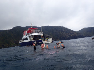 慶良間スノーケル