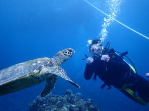 沖縄　体験ダイビング　ウミガメ