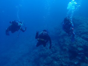 沖縄　ダイビング　万座　西海岸ボートFUNダイビング