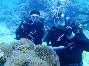 沖縄　ダイビング　慶良間　体験ダイビング　ウミガメ