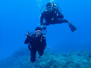 沖縄　ダイビング　慶良間　体験ダイビング　ウミガメ