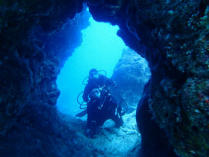 沖縄　ダイビング　慶良間　体験ダイビング　ウミガメ