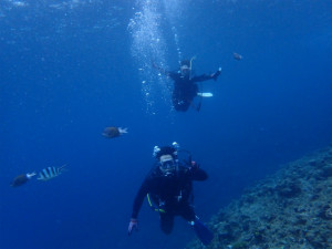 沖縄　ダイビング　真栄田岬
