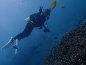 沖縄　ダイビング　真栄田岬　ボートFUNダイビング