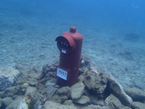 沖縄　ダイビング　砂辺　体験ダイビング