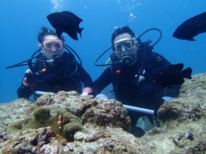 沖縄　ダイビング　砂辺　体験ダイビング