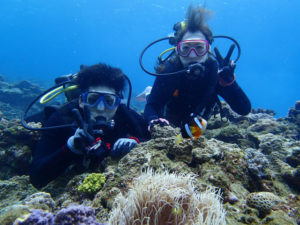 沖縄　ダイビング　慶良間　体験ダイビング