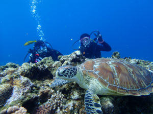沖縄　ダイビング　慶良間　体験ダイビング