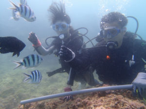沖縄　ダイビング砂辺　体験ダイビング