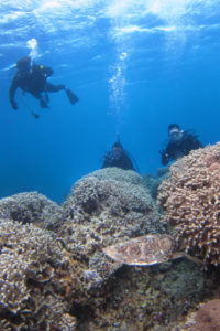 沖縄　ダイビング　慶良間　体験ダイビング　FUNダイビング