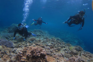 沖縄　ダイビング　慶良間　体験ダイビング