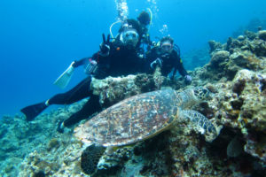 沖縄　ダイビング　慶良間　体験ダイビング　FUNダイビング