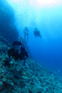 沖縄　ダイビング　慶良間　FUNダイビング