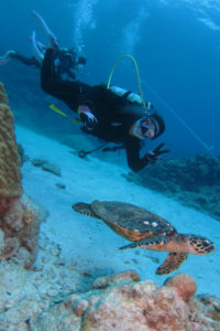 沖縄　ダイビング　慶良間　体験ダイビング　FUNダイビング