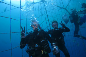沖縄　ダイビング　ジンベイの網