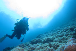 沖縄　ダイビング　黒島