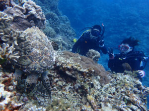 沖縄　ダイビング　慶良間　体験ダイビング　FUNダイビング