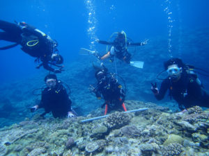 沖縄　ダイビング　慶良間　体験ダイビング　FUNダイビング