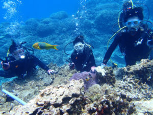 沖縄　ダイビング　慶良間　体験ダイビング　FUNダイビング