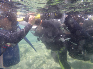 沖縄　ダイビング　砂辺　体験ダイビング